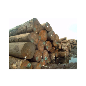 Troncos de haya de primera calidad para leña, madera dura seca al horno, perfecta para chimeneas, estufas de leña y calefacción exterior. - Product Image 5