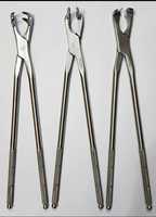 Forceps dentaires équins à long bec / Instruments vétérinaires / Instruments dentaires pour chevaux par ARMANDIOUS industries