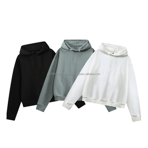 Sweat-shirt à capuche avec impression de logo personnalisée, 100% coton, streetwear lourd, pull uni, lourd, essentiel, ample, pour homme - Product Image 1
