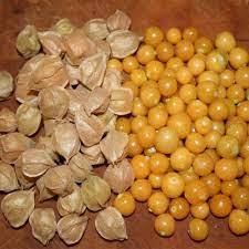 Exportación de bayas doradas secas de alta calidad de proveedores vietnamitas - Product Image 5