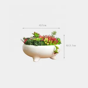 Artificial Succulent Combination Potted Plant Natural Style Artificial Succulent Decoration Ceramic Set With Fake SucculentsDS50