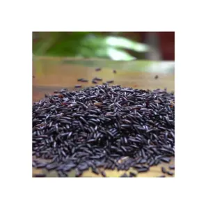 High on Demand Nutrient Rich and Gluten-Free Black Rice for Health Benefits Available at Affordable Price from India