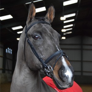 Listo para montar Snaffle Bridle Venta al por mayor profesional equino Halter tachuela montando headstall equipo ecuestre caballo brida - Product Image 1