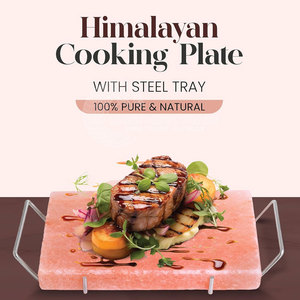 Dalles de sel de l'Himalaya sculptées de haute qualité meilleur prix de gros de matériel - Product Image 3