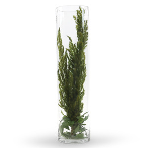 VCY0620 - Vase en verre cylindrique - 6 x 20 - Product Image 2