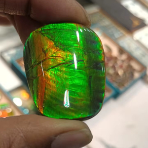 Magnifiques pierres précieuses naturelles en ammolite, polies, de forme libre, coupées, colorées, pour la fabrication de bijoux, cadeau de fiançailles - Product Image 1