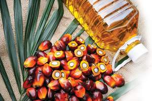 Huile de palme raffinée de haute qualité/huile de palme-oléine CP10 CP8 CP6 pour la cuisson et la friture/100% HUILE DE TOURNESOL raffinée - Product Image 6