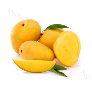 Rebanadas de Mango Seco del fabricante de Vietnam, estándar de exportación a muchos países - Product Image 3