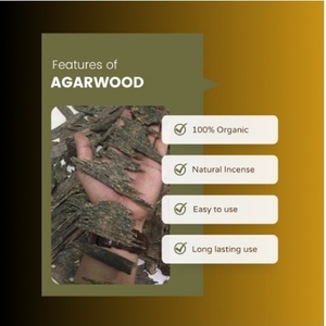 Top Grade High Quality Natural Wild Agarwood Sunari Wood Material for Religious Use - Product Image 2