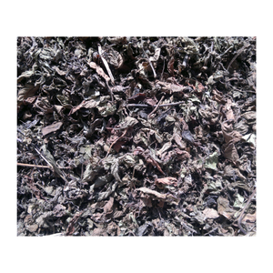 Feuille d'herbe noire du Vietnam avec de l'herbe Mesona séchée utilisée dans la production de thé en gelée d'herbe ingrédient à base de plantes naturelles en gros en vrac - Product Image 5