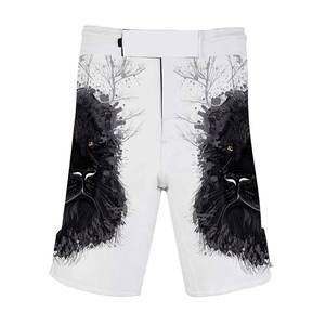 2024 Customized MMA <b>Shorts</b> for Muay Thai <b>Kickboxing</b> Boxing-Grappling Sublimation OEM Service Martial Arts Wear - Product Image 1