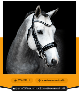 Brida de entrenamiento de cuero occidental multifuncional al por mayor, banda nasal de patente de doble brida de Venecia para caballos, banda nasal de patente negra - Product Image 4