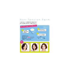 Manuel de Beauté JP : Livre sur la Permanente Sans Tension par Ritsu Sato (AXIS) – Un Guide Ludique sur la Lotion de Permanente pour Cheveux - Product Image 2