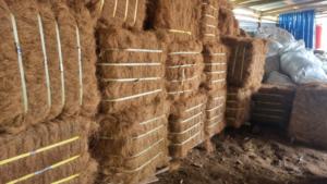 Brosses en fibres de coco écologiques de haute qualité, 75 cm, stockage à sec, source naturelle d'Indonésie, vente en gros pour usages multiples - Product Image 3