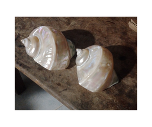 Anneaux de serviette de style plage du Vietnam de qualité supérieure pour l'exportation - Anneaux de serviette de style plage en coquillage naturel pour les événements - Product Image 1