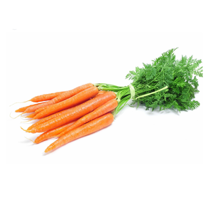 High Quality Fresh Carrot for Wholesale Bulk Supply at Competitive Prices <b>Harvested</b> and Ready to Ship - Product Image 4
