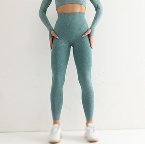 Fabricants professionnels de vêtements de yoga pour femmes, leggings, vêtements de sport décontractés pour femmes, pantalons de yoga pour la salle de sport, ensemble personnalisé - Product Image 6