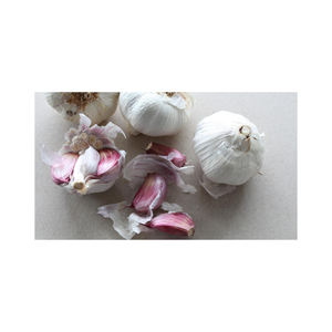 Best Quality Wholesale <b>Fresh</b> Peeled Garlic for Sale in Cheap Price - Product Image 6