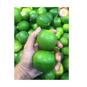 มะนาวสดแท้เวียดนามวัสดุส้มธรรมชาติพรีเมี่ยมสำหรับคั้นน้ำส่วนผสมการทำอาหารส่งออกทั่วโลก - Product Image 6