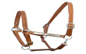 Licol de cheval personnalisé de qualité supérieure avec sangle en nylon souple et cuir PP Boucles de quincaillerie en acier et laiton Colliers de tête de cheval - Product Image 5
