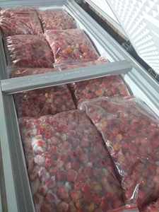 สตรอเบอร์รี่แช่แข็งคุณภาพสูงจากดาลาทเวียดนามทั้งสตรอเบอร์รี่หั่นครึ่งตัดมาตรฐานส่งออกจํานวนมากขายส่ง - Product Image 2