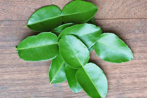 สมุนไพรหอมธรรมชาติแช่แข็งใบมะนาวขายส่งจำนวนมากสินค้าส่งออกขายดี - Product Image 5