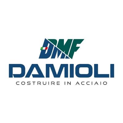 D.M.F. - DAMIOLI S.R.L. logo