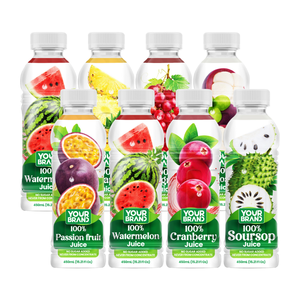 100% fabricant vietnamien de jus de canneberge de marque privée en bouteille 450ml OEM ODM Food & Beverage Jus de fruits et légumes - Product Image 1