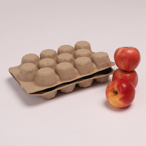 Vina Green Pack Ready to Export Fruit <b>Paper</b> <b>Tray</b> Fruit Container Customized Packaging Solutions Green <b>Paper</b> Fruit <b>Tray</b> - Product Image 1