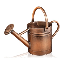 Bote de agua de metal antiguo de diseño ergonómico para entusiastas del jardín con alta capacidad y Caño de flujo de agua largo - Product Image 5