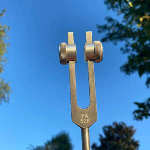 Diapasones de Solfeggio de Plata con Peso de 528 Hz de Alta Calidad Fabricados en Marte... - Product Image 4