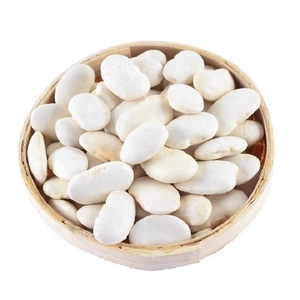 Haricots blancs de qualité supérieure, naturels, en gros, de qualité supérieure, pour l'exportation, haricots blancs de grande taille, de haute qualité - Product Image 5