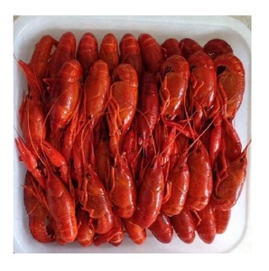 กุ้งมังกรอเมริกันแช่แข็งคุณภาพสูงพร้อมจำหน่ายในราคาประหยัด - Product Image 4