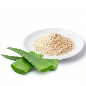 Polvo de Aloe Vera Orgánico Silvestre, Extracto Natural de Plantas, Grado Alimenticio para Bebidas y Suplementos, Proveedor de Exportación a Granel, Tailandia - Product Image 1