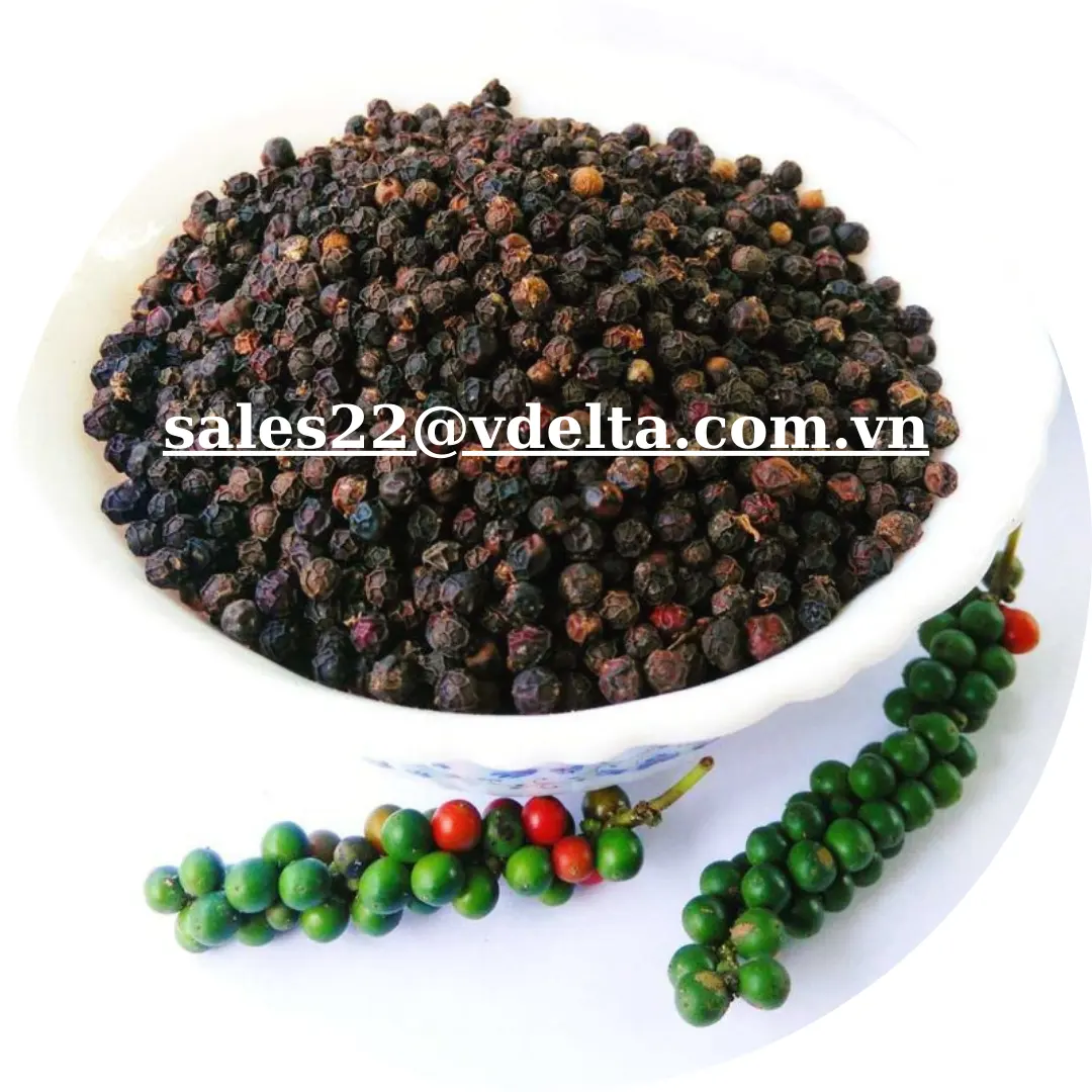 Supplier High Quality Black Pepper From Vietnam 500gl/550gl ASTA Herbs And Spices Food /Kevin Tran +84 968311314