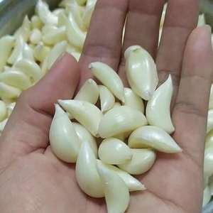 Gousses d'ail pelées entières congelées dans un emballage sous vide, approvisionnement en vrac pour les services alimentaires et la fabrication | Mme Jessi - Product Image 5