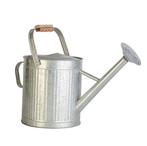 Unique Luxury Style Water Can with Long Spout Wooden Handle White Watering can for <b>Kids</b> Flower Watering Pot for Home Gardening - Product Image 2