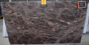 Pierre naturelle polie de haute résistance et esthétique de granit bleu de l'Himalaya pour le bureau d'hôtel à la maison et l'usage architectural - Product Image 2