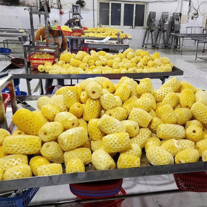 Su Socio Confiable para Piña Congelada (Entera o Cortada a Medida): Calidad Constante de Vietnam - Product Image 5