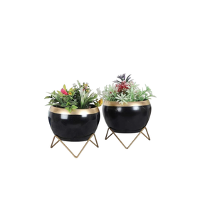 Vintage Black and <b>Golden</b> Metal Planters Stand Home Desktop Organizer for <b>Plants</b> <b>Pot</b> for Living Room or Office Use - Product Image 1
