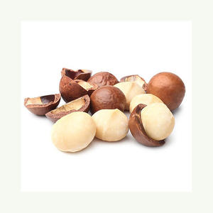Noix de macadamia, collation sèche, type de transformation brute, produit comestible délicieux - Product Image 5