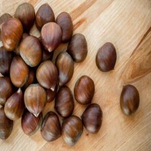 Châtaignes brutes en vrac à prix de gros, idéales pour les fournisseurs de noix et les fabricants alimentaires - À vendre - Product Image 1