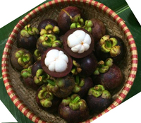 Premium Vietnamese verse mangosteen, zoet wit vruchtvlees, tropisch fruit, export leverancier