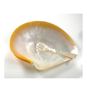 Vaisselle en nacre Matériau en coquille naturelle de qualité supérieure du Vietnam Idéal pour la restauration et la décoration - Product Image 1