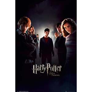 Modern Style for Harry Potter and the Order of the Phoenix Canvas <b>Poster</b> for Wall Use - Product Image 4