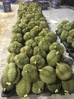 Monthong/Ri6 Premium Bevroren/Verse Durian Pulp/Heel/Vlees Tropisch Fruit Exporteren Kwaliteit Uit Vietnam Tegen Goedkope Prijs // Anna Do