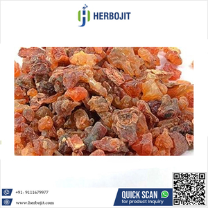 Guggal ธรรมชาติอบแห้งคุณภาพสูง (commiphora mukul) เกรด5กก. - Product Image 6