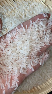 Antigua-et-Barbuda Importation de riz frais biologique 4-6mm japonica jasmin riz long grain du Vietnam 2024 récolte OO825431311 - Product Image 4