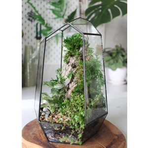 Terrario de cristal transparente de diseño moderno de alta calidad, jarrón geométrico de Color negro, maceta para decorar jardín y hogar, balcón multiusos - Product Image 2