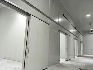 콜드 룸 스토리지-18 냉동실 4*2*2.5M 전문 냉동실 최저가 식품 콜드 스토어 냉방 냉동 - Product Image 3